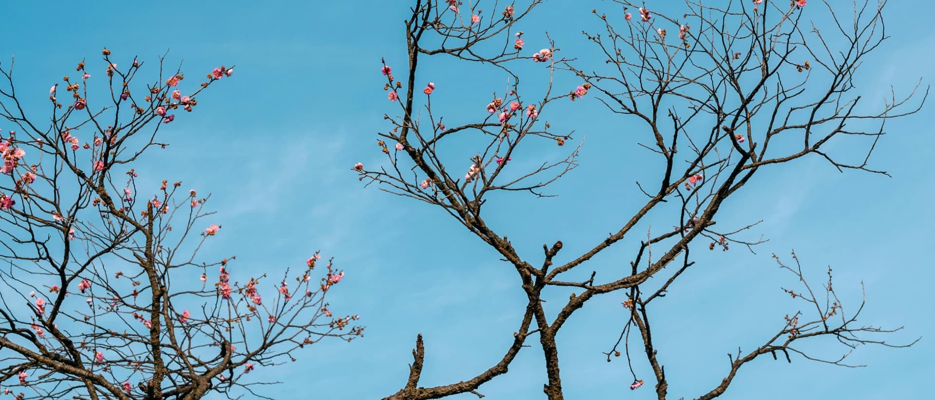 How we created AGI in our basement